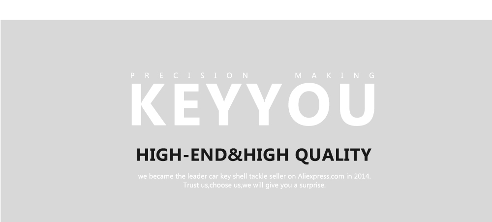 Case chiave per Renault Clio Logan Megane 2 3 Koleos Scenic - b8dc3c845dc8f384f1b88c58f5c4101d 1