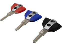 Chiave telecomando per BMW F650 F650GS F800 F800GS S1000RR R1150 R1200 R1200R/S/GS/ST/RT K1200R NO Chip - WhatsKey Motorcycle keys Blank Key Uncut For BMW F650 F650GS F800 F800GS S1000RR R1150 R1200 R1200R 5